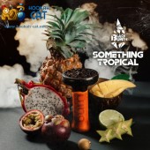 Табак BlackBurn Something Tropical (Что-то Тропическое) 100г Табак BlackBurn Something Tropical (Что-то Тропическое) 100г